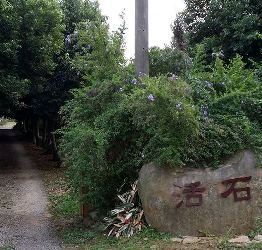 【12/24戶外活動】  龍潭